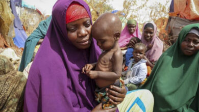Photo of El hambre en el mundo sigue aumentando, según informe de la ONU