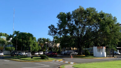 Photo of Último domingo del año será con un ambiente soleado y temperaturas frescas