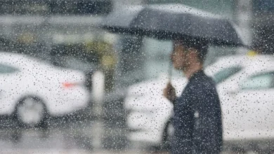 Photo of Vaguada y sistema frontal incrementarán las precipitaciones, dice Indomet