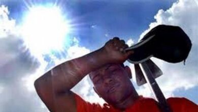 Photo of Meteorología pronostica calor, chubascos y alta concentración de polvo del Sahara para este sábado